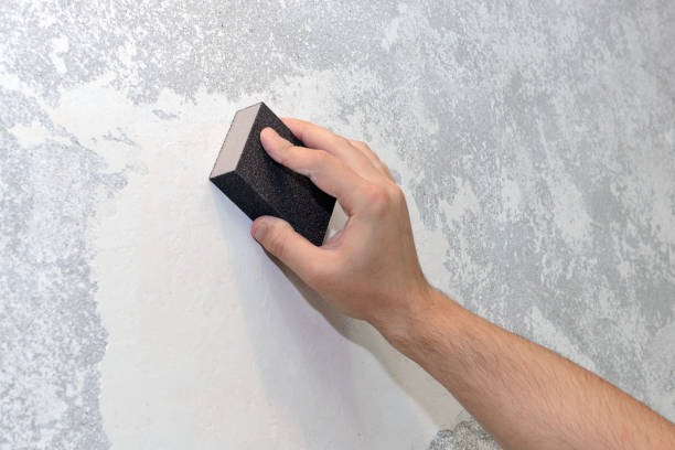 Best Mold Documentation for Insurance Claims  in Chapel Hill, NC