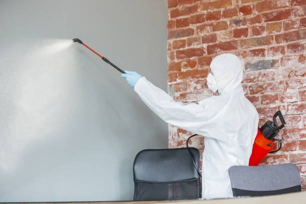 Forensic Mold Investigation in Chapel Hill, NC