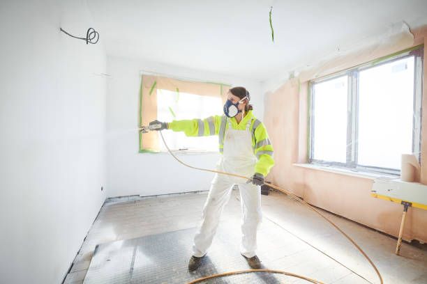 Best Water Damage & Mold Remediation  in Chapel Hill, NC