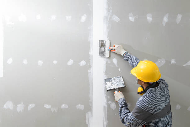 Best Real Estate Mold Inspection  in Chapel Hill, NC